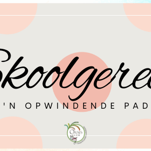 Skoolgereedheid evaluasie